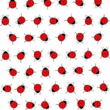 Tea Towels - Various