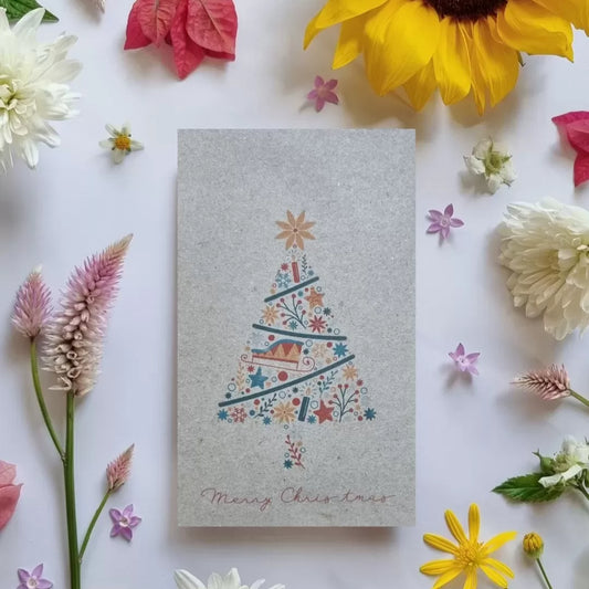 Wild Flower Seeds - Christmas