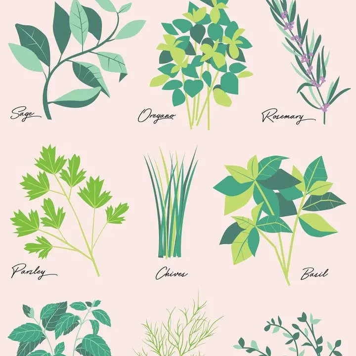 Tea Towels - Various