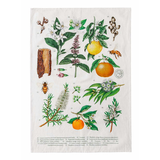 Tea Towel - Koala Eco