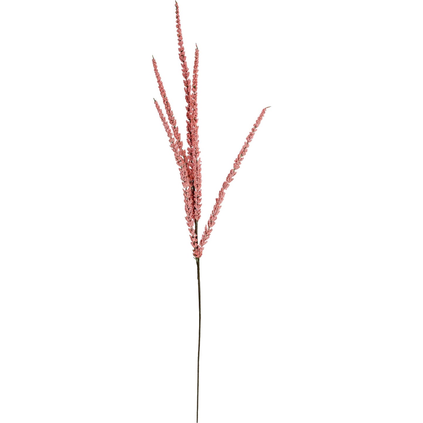 Berry Stem Dawn