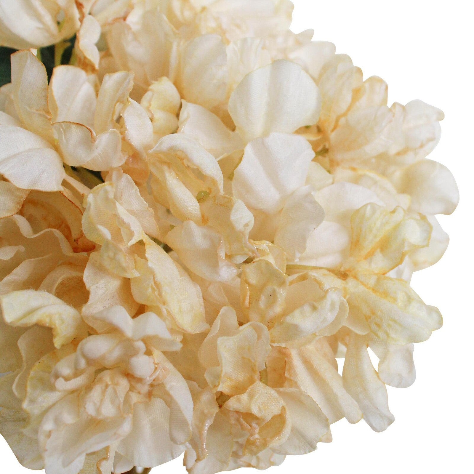 Faux Roasted Hydrangea Stem Ivory