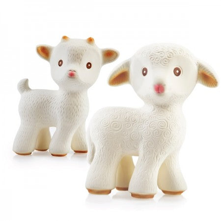 Mia the Lamb & Sola the Goat