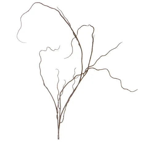 Curly Twig - Brown