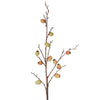 Fruit Berry Branch Stem Pink