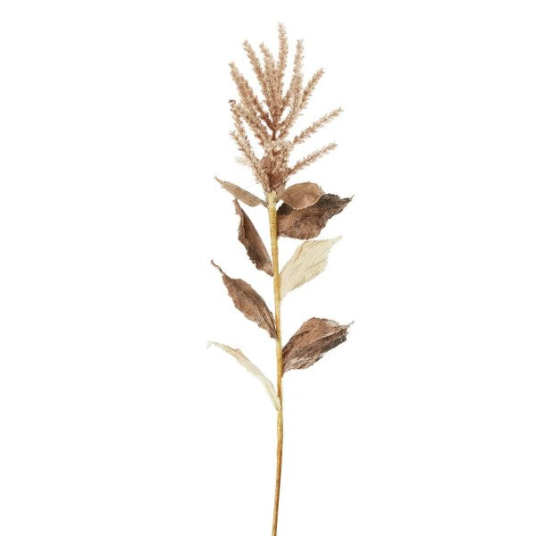 Wheat with Leaves Brown Stem